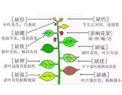 史上最全肥料知识